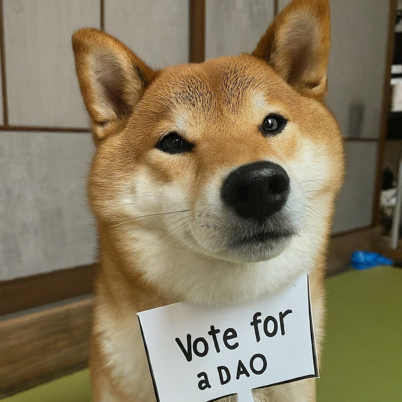 Shiba Inu Unleashes DAO Plans: A New Era for the Memecoin